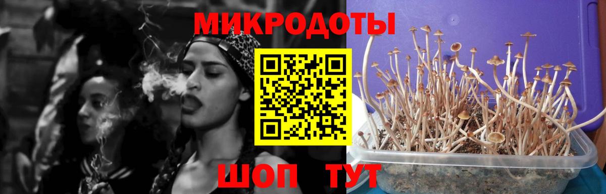 Ангарск  магазин продажи наркотиков  Вход с VPN  Галлюциногенные грибы Psilocybe 